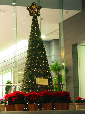 Giant Christmas tree (3.3 meters high)