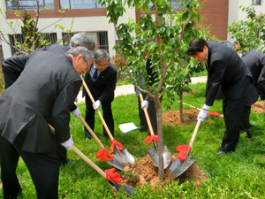 The delegation helps plant the trees