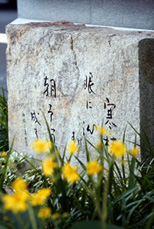 Erection of a Monument with a Haiku Poem of the Founder Mikio Mizuta