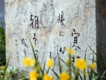 句碑「寒椿眼に沁む朝予算成る」