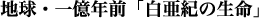 地球・一億年前「白亜紀の生命」