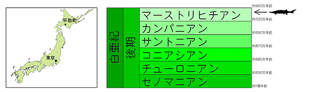 化石が産出した平取町の位置と年代