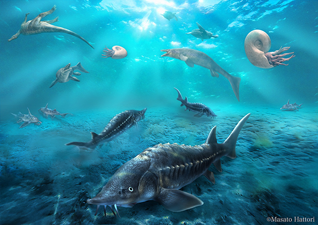 本研究によるチョウザメ科化石の生態復元図と同時代の平取－穂別地域の生物