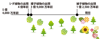 第3回 花と虫の物語 ギャラリーノート 学校法人城西大学水田記念博物館大石化石ギャラリー 学校法人 城西大学