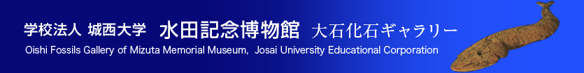 Josai University Educational Corporation