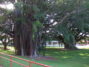 Entrance to Lanai Theater