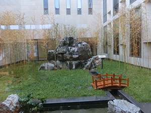 キャンパス内の日本式庭園