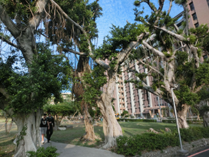 Visiting Taipei City University of Science and Technology