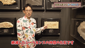 学芸員の宮田さんがシーラカンスについて語る動画の一場面